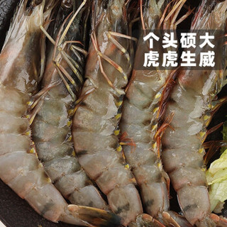 xianbaike 鲜佰客 活冻越南黑虎虾 850g 20尾