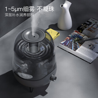 Deerma 德尔玛 DEM-F323 超声波加湿器 5L 灰色