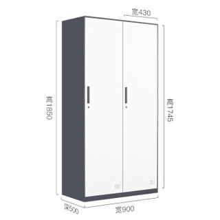 洛克菲勒 铁皮柜办公员工多门储物柜浴室简易衣柜灰套白二门更衣柜