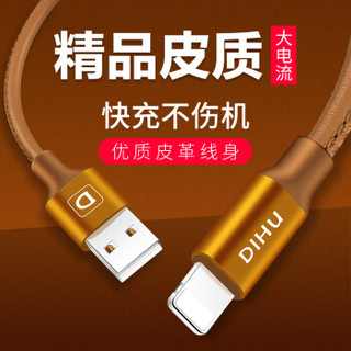 迪虎（DIHU） 苹果数据线 充电线iPhone6s/X/7/8plus/Xs Max/XR手机ipad加长快速充电器线布料 1.2米皮质棕