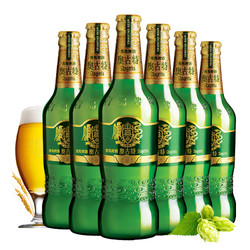 青岛啤酒奥古特系列12度480*6瓶装整箱品牌直营青岛