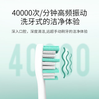 博皓（prooral）电动牙刷 成人充电式声波振动牙刷 2082B 黑色