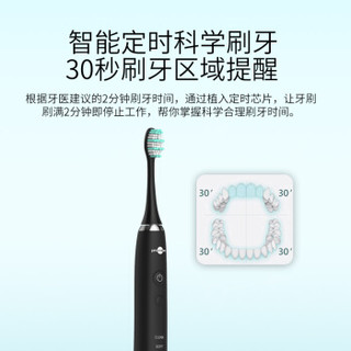 博皓（prooral）电动牙刷 成人充电式声波振动牙刷 2082B 黑色