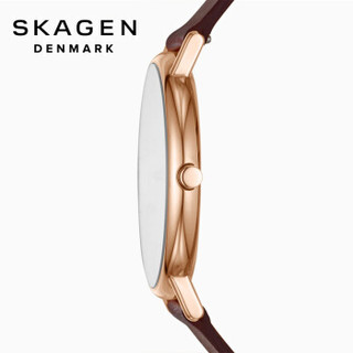 SKAGEN 诗格恩 SKW8600 男士石英手表