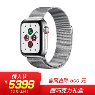 Apple Watch Series 5智能手表（GPS+蜂窝网络款 40毫米不锈钢表壳 米兰尼斯表带 )
