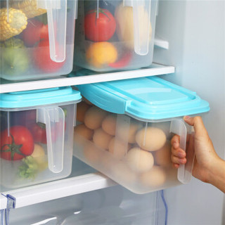 HAIXIN海兴冰箱收纳盒多功能食物保鲜盒透明塑料鸡蛋盒抽屉收纳储物盒水果蔬菜杂粮百纳箱