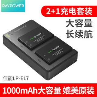 睿能宝（RAVPower）佳能LP-E17相机电池 适用于M3/M5/M6/200D/750D/77D/800D 数码单反锂电池充电器套装