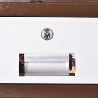 黑石保险柜电子保密柜文件柜办公柜档案柜密码柜资料柜通双节带抽屉咖白色