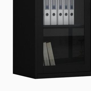 苏美特文件柜办公柜矮柜钢制铁皮柜资料柜档案柜拆装玻璃对开矮柜黑色款760高