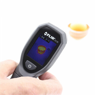 FLIR TG130 美国菲力尔红外线热成像仪测温仪 热像仪 量程-10~+150°C