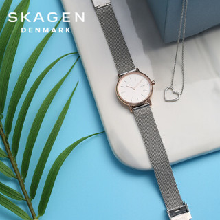 SKAGEN 诗格恩 SKW1106 女士石英手表