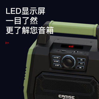 雅兰仕 EARISE T22 蓝牙音箱广场舞音响可插卡无线低音炮u盘收音机家用大功率手提蓝牙音响 绿色