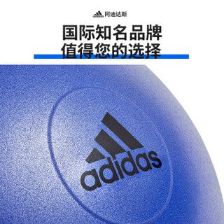 阿迪达斯（adidas）瑜伽球 加厚防爆健身球 弹力球男女通用健身器材 配充气筒 紫色 直径55CM ADBL-11245PL