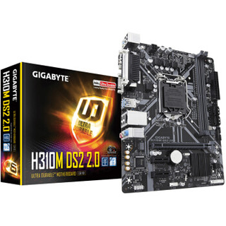 技嘉（GIGABYTE）H310M DS2 2.0 主板 + 英特尔 G4900 板U套装/主板+CPU套装