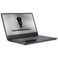 TERRANS FORCE 未来人类 T6 16.1英寸 笔记本电脑 (黑色、酷睿i7-9750H、8GB、256GB SSD+1TB HDD、GTX 1660Ti)