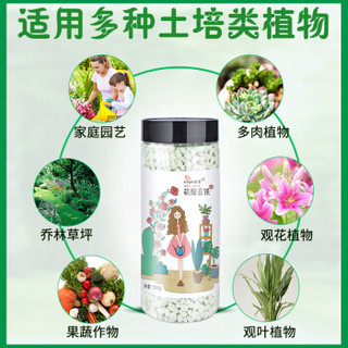 溶智硫酸亚铁花用颗粒花肥家用盆栽室内养花通用型化肥溶液调酸肥500g/瓶