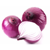 紫皮洋葱 新鲜采摘蔬菜 香辣适口 2.5斤装