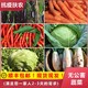 6种农家无公害蔬菜组合净重2500g顺丰包邮现发西生菜包菜萝卜