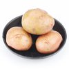 甘福园  红皮小土豆 5kg/箱