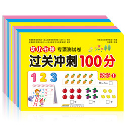 《幼小衔接专项测试卷-过关冲刺100分》