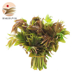 头茬香椿芽 250g *4件