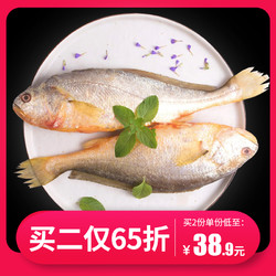 三都港无公害黄花鱼1.2斤 黄鱼黄瓜鱼海鲜新鲜生鲜冷冻海鱼2条装 *3件
