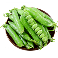 云南新鲜豌豆带壳发货新鲜蔬菜 豌豆荚5斤