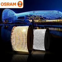 欧司朗（OSRAM）led灯带6W日光色6500K 30珠1米