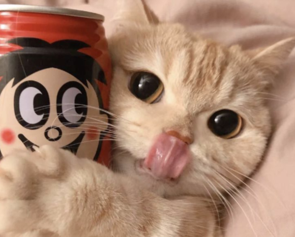 作为知名的食品品牌,"旺仔牛奶糖","浪味仙","旺仔小馒头","旺仔雪饼"