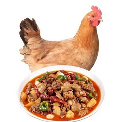农家散养鸡 大用黄羽鸡1kg/只，拍两只4斤70元 *2件