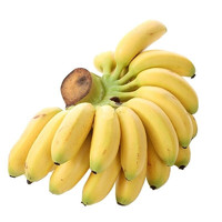 砀宁果品 广西小米蕉 糯米蕉 青香蕉 5斤装