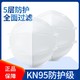  KN95级防护口罩　