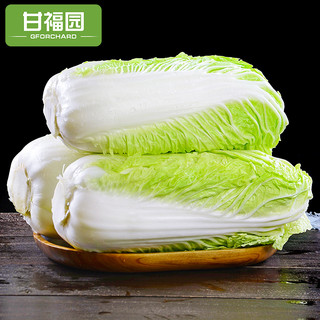 甘福园 新鲜大白菜 5kg
