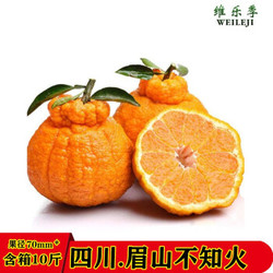 维乐季  四川 不知火丑橘 10斤 (中果)果径70mm以上