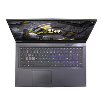 Hasee 神舟 战神 G7-CT7NA 17.3英寸 游戏本 黑色(酷睿i7-9750H、GTX 1660Ti 6G、8GB、512GB SSD、1080P、IPS、144Hz)
