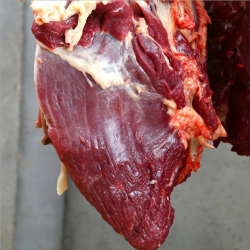 送料包新鲜驴肉3斤正宗山东黑驴生鲜驴肉火锅食材