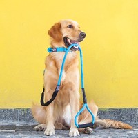 Touchdog 它它 狗狗牵引绳