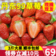 丹东99红颜草莓 3斤大果新鲜东港牛奶大草莓水果吃货助农包邮
