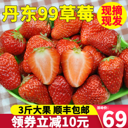 丹东99红颜草莓 3斤大果新鲜东港牛奶大草莓水果吃货助农包邮