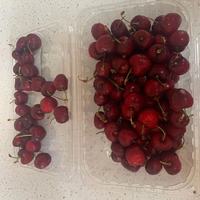 OPPO测试刷数据 辛苦 测试商品,请勿下单,123 (1111)