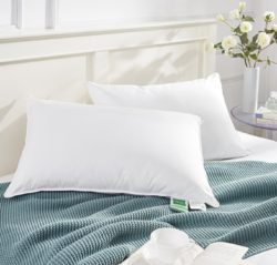 SUPRELLE舒飘儿德国防螨细菌枕可水洗枕头枕芯 护颈枕单人助睡眠颈椎枕