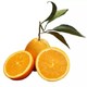 限地区：水果俱乐部 重庆奉节脐橙 10斤