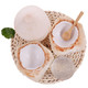 展卉 泰国进口椰青 2个*3件 + 白心火龙果（单果375-500g）4个 +凑单品