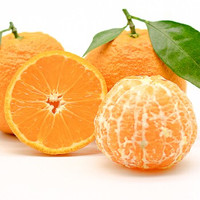 汉源 黄果柑 橘子柑橘 1斤装