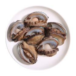 味库 鲜活鲍鱼 500g 5-6头 *2件