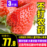 正宗丹东草莓新鲜香甜大果牛奶草莓九九红颜孕妇水果包邮果园现摘