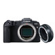 Canon 佳能 EOS RP 全画幅专业微单数码相机机身 送环