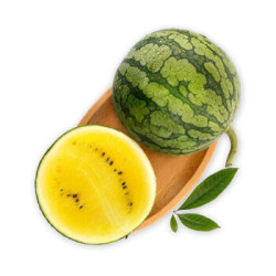 精品国产麒麟黄肉西瓜净重56斤