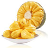 仙果岭 海南黄肉菠萝蜜 10-12.53kg*1个
