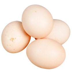 土鸡蛋40枚